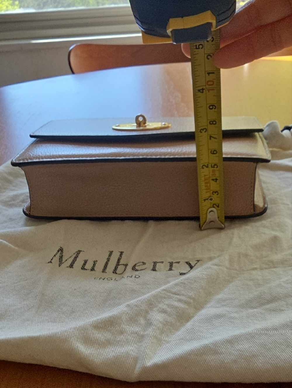 Mulberry Leather Flap Crossbody in Pale Blush - Picture 6 of 8